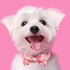 Tunkoo Pink Daisy Dog Collar with Cute Flower Bow Tie,