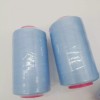 NICE FABRICS 2-Pack Light Blue 6000 Yards Per Spool Serger