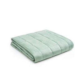 YnM Weighted Blanket,Heavy 100 Percent Oeko-Tex Certified Cotton Material, Bed Blanket for One Person of 160lbs, Ideal for Queen/King Bed (60x80 Inches, 17 Pounds, Sprout Green)