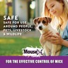 MouseX 1lb Bag, All-Natural Poison Free, Effective Against All Species