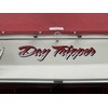Custom Vinyl Boat Name Decal, Create Your Own Graphic Premium