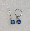 Blue Silver earrings