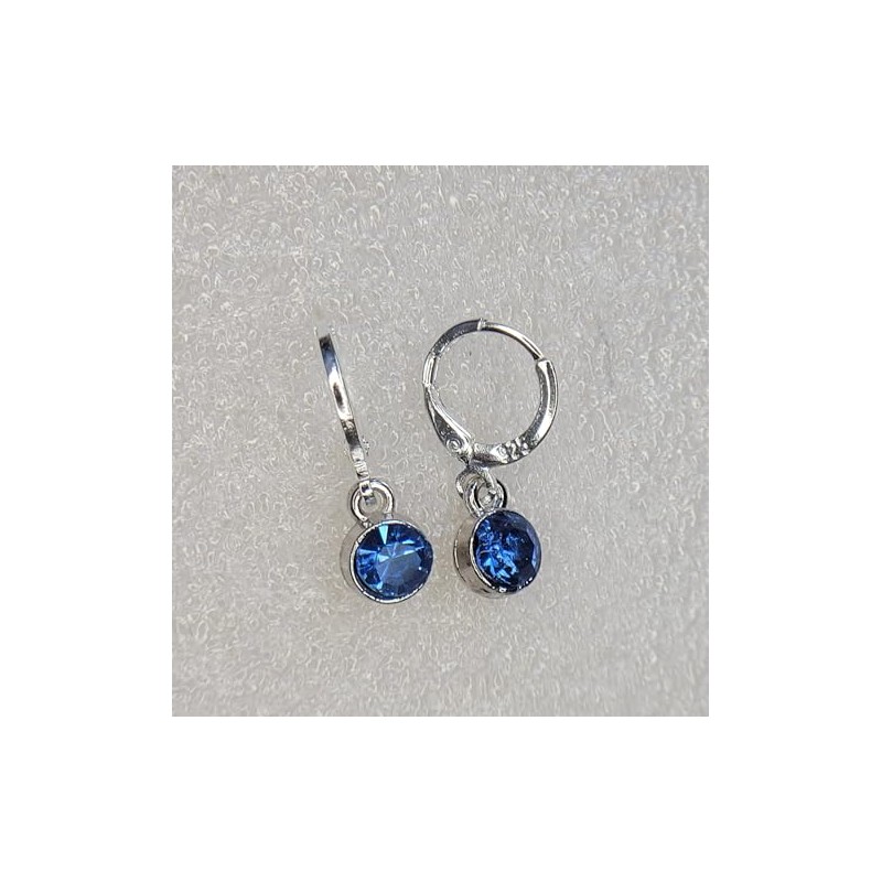 Blue Silver earrings