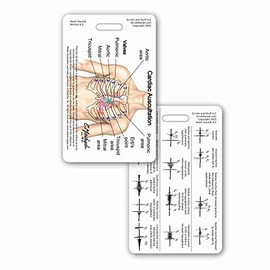 Heart Sounds Diagram Vertical Badge Reference Card (1 Card)