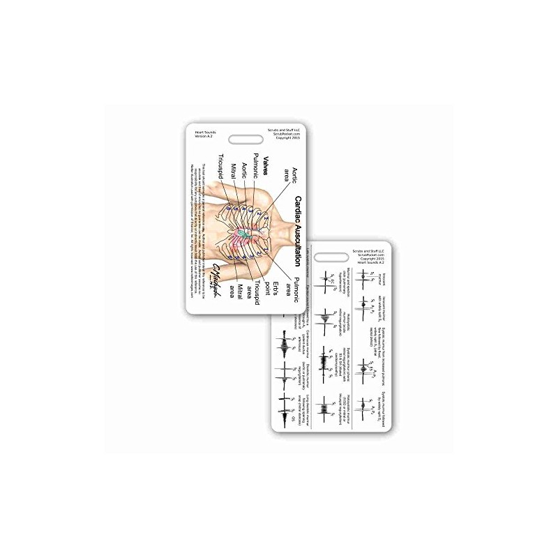 Heart Sounds Diagram Vertical Badge Reference Card (1 Card)