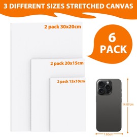 Koncci 6 Pack Stretched Canvas for Painting, (30x20 20x15 15x10cm) Framed Blank Canvas Set, Acid-Free/Cotton/280 GSM/Triple Primed Canvases for Acrylic, Oil Paint & Wet Art Media Artwork School