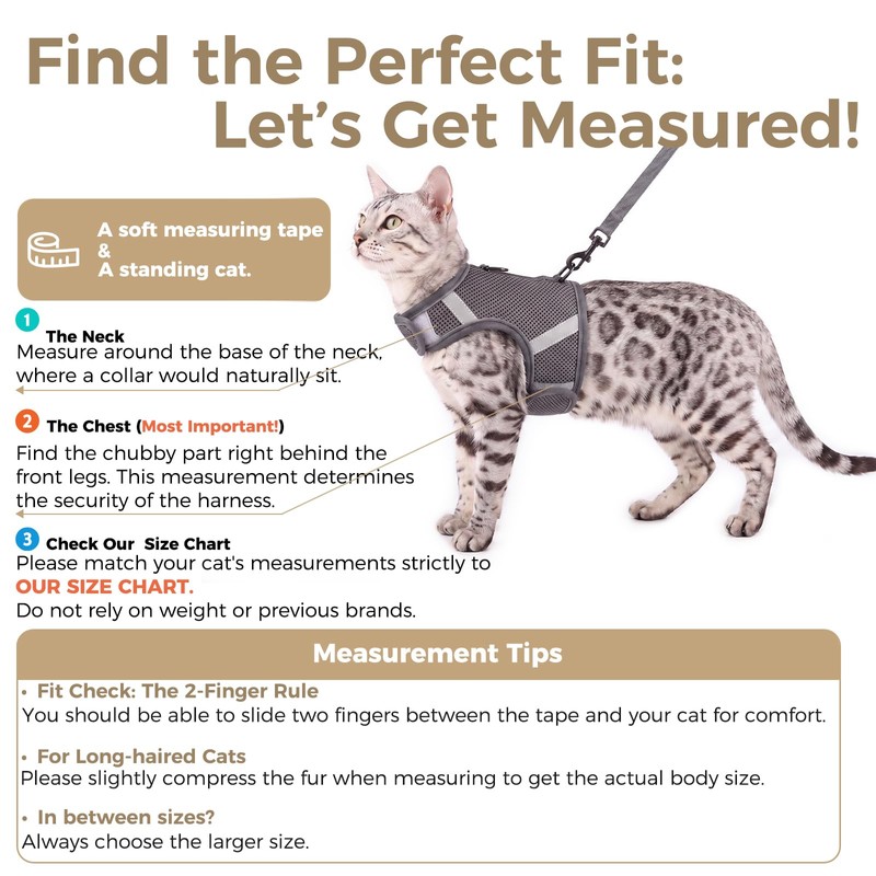 pangdi Cat Harness and Leash Set, No Over-the-Head Cat Vest,