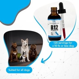 Infinite Health Labs Liquid Vitamin B-12 for Dogs - Methylcobalami