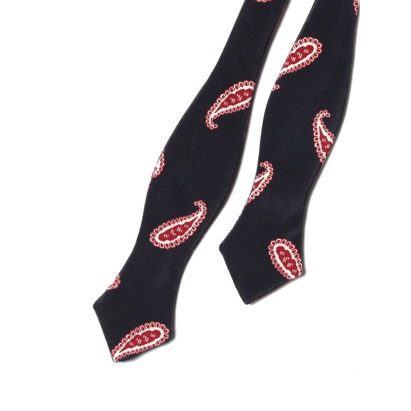Beams Plus Necktie, Printed Paisley, Bowtie, Men's, navy
