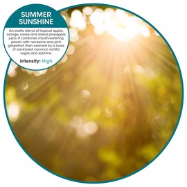 Fresh Products myfreshe Plug-in Air Freshener, Worry-free No Heat, No Glass, Dry Fragrance Refills, Made in the USA - Summer Sunshine 2 pack