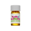 Living Libations Best Skin Ever - Vanilla, 2.5ml Tiny Traveller