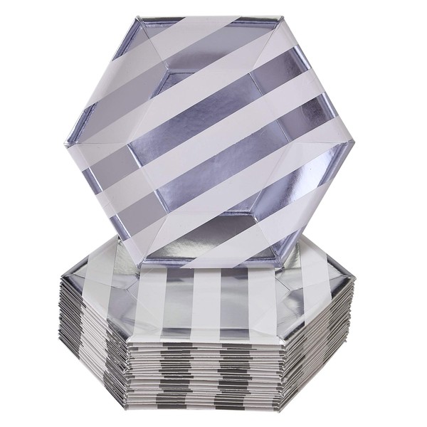 DISPOSABLE DINNER PLATES | 24 pc | Biodegradable Plates made of Heavyweight Paper Materials | Stripe - Silver | 10.25"