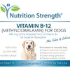 Nutrition Strength Vitamin B12 for Dogs Plus Folate & Calcium,