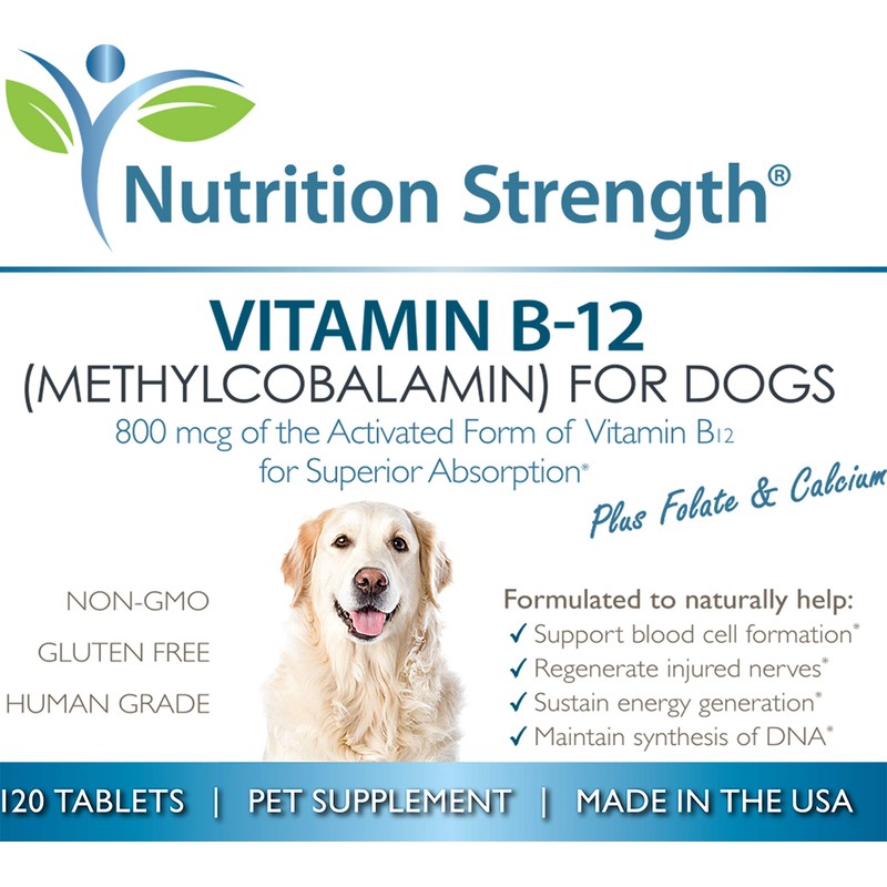 Nutrition Strength Vitamin B12 for Dogs Plus Folate & Calcium,