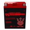Neptune Power YB14A-A2 High Performance - Maintenance Free - AGM