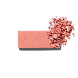 Shu Uemura Face Color (Refill) 0.1 oz (3 g) ES Rusty Coral 364 Cheek Powder Genuine Product