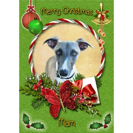 Whippet Dog Christmas Card Green 'Merry Christmas Mam' - Special Animal Xmas Card for Her Kids