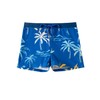 SWAUSWAUK Boys Swimming Trunks with Inner Lining 3-12 Years Adjustable
