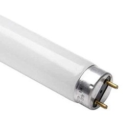 Osram 517858 - L 36W/865 Straight T8 Fluorescent Tube Light Bulb
