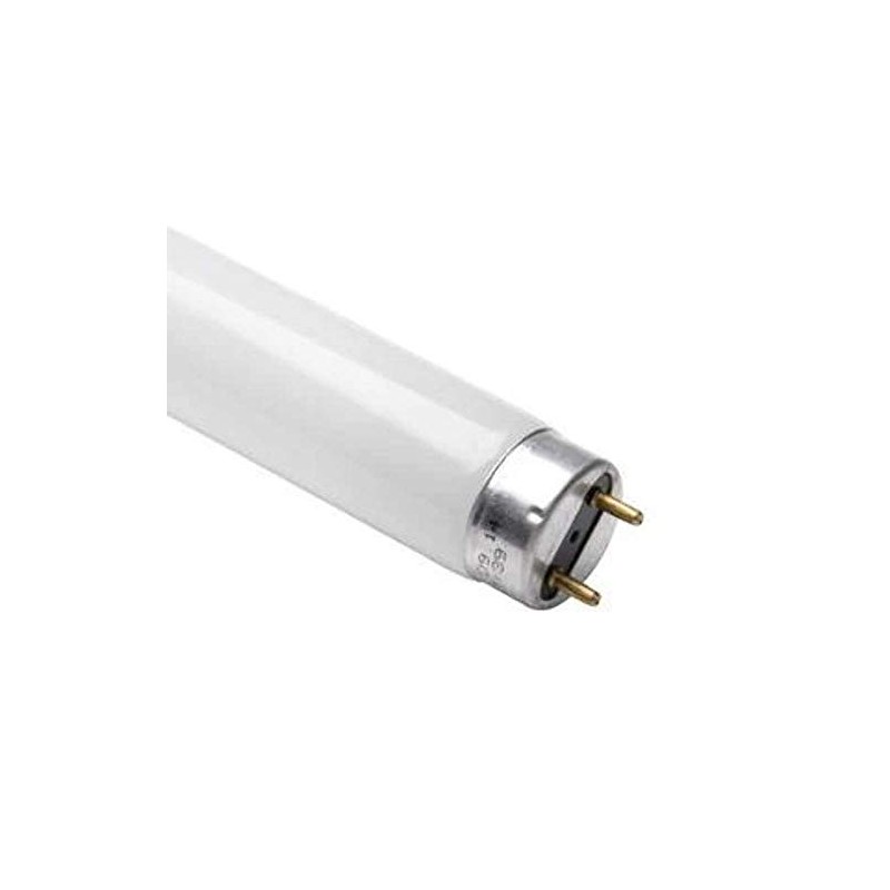 Osram 517858 - L 36W/865 Straight T8 Fluorescent Tube Light