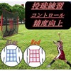 ASPALAND ストライクゾーンターゲットネット ピッチングネット 投球 打撃 野球 ベースボール ソフトボール トレーニング (ブルー)