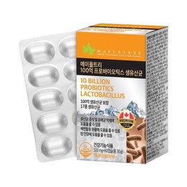 Maple Tree 메이플트리 장용성 100억마리 생유산균 60캡슐 2개월분 Maple Tree Long-lasting 10 Billion Live Probiotics 60 Capsules 2-Month Supply