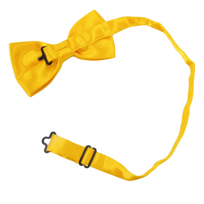 Time to Sparkle Bow Tie Mens Bowties Pre-tied Shape Clip