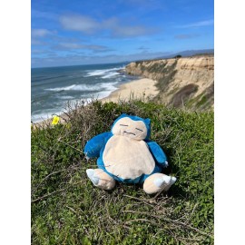 ChalkMate Snorlax Chalk Bag Rock Climb