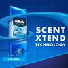 Gillette Endurance Antiperspirant / Deodorant, Cool Wave Clear Gel, 3.8