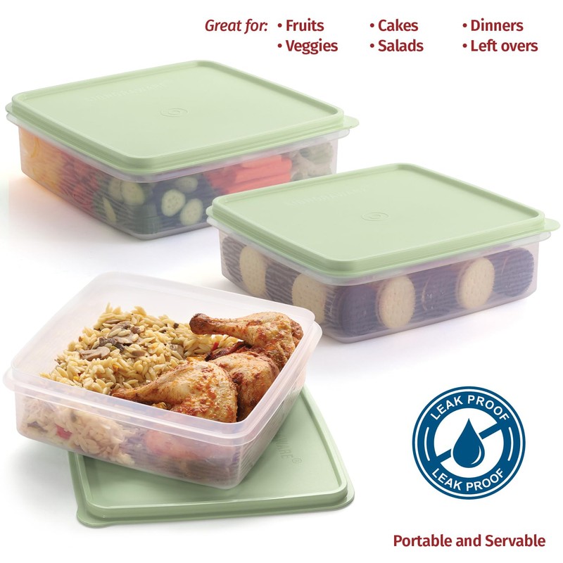 Plastic Storage Container with Lid – 3L Cupcake Carrier –