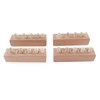 Cylinder Socket Toy Beech Wood Educational Knobbed Cylinders Blocks for