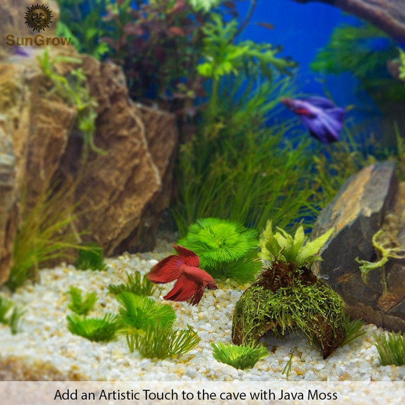 SunGrow Betta Fish Cave, Habitat Made from Coconut Shell, Soft-Textured