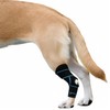 SHARKBEEPOWER Dog Knee Brace for Back Leg, ACL Support for