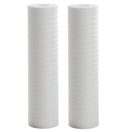 IPW Industries Inc. - AO Smith (AO-WH-PREV-R2) 5 Micron Grooved Sediment Cartridge Water Filter Replacement for Whole House Filtration Systems (2pcs.)