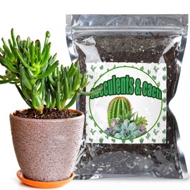Doter Cactus & Succulent Soil Mix 1qt, Chunky Well-Draining Soil for Indoor Plants - Spike & Bloom