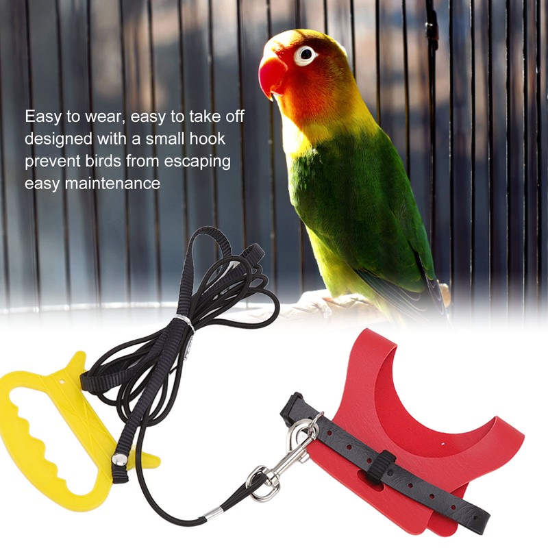 Bird Harness Leash Elastic Easy To Wear Portable Bird Traction
