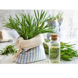 Pure and Organic Essentials Oils. 100% Natural Cold Pressed. Derived from Real Plants and Seeds. 50ML/100ML/200ML. (Rosemary, 50 ML)