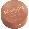 Bourjois Little Round Pot Blusher 3 Copper Brown, 2.5g