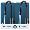 FORIOUS Black LED Kitchen Faucet with Pull Down Sprayer, High