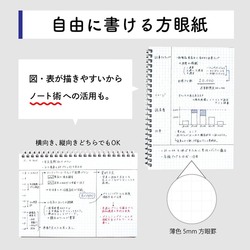 Lihit Lab N1673-26 Open Ring Notebook, Twisted Notebook, A5S, Hirakuno,