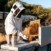 sourcing map Bee Suit for Men Women XXL Beekeeper Suit