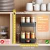 Pull Out Spice Rack Organizer for Cabinet, 2 Pack Widen