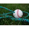 The Hitting Rope Baseball Adjustable Batting Training System - Combines