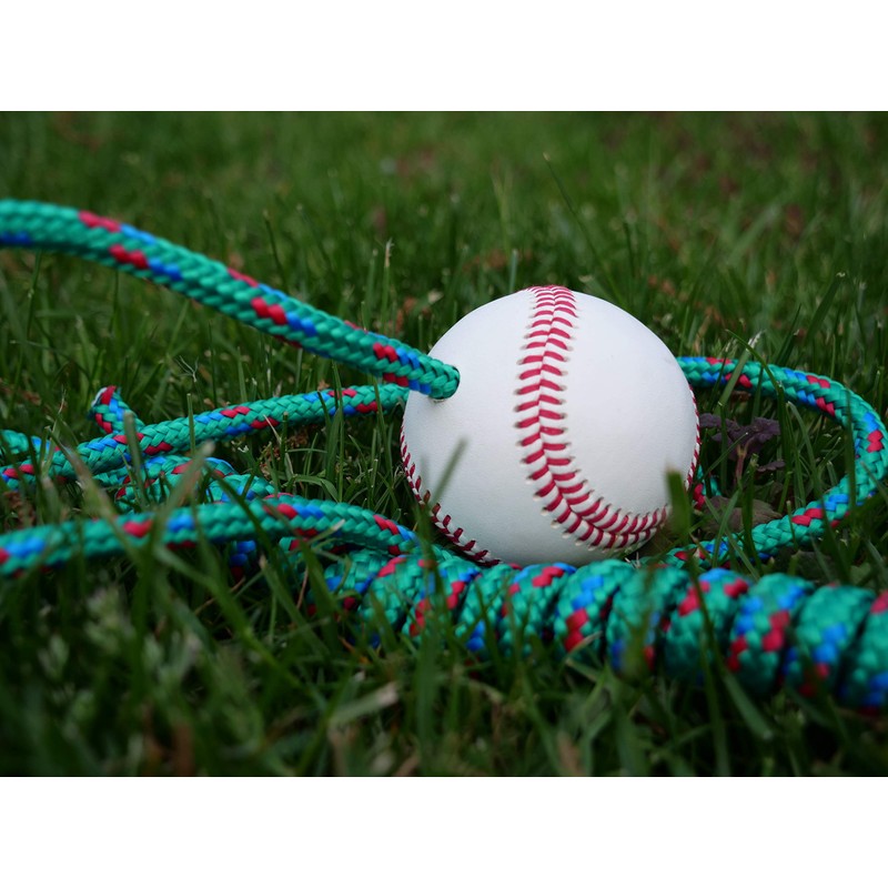 The Hitting Rope Baseball Adjustable Batting Training System - Combines