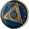 Ranger Industries 29 Year AA Medallion Metallic Midnight Blue Sobriety Chip XXIX