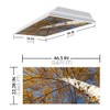 Fluorescent Light Cover for Classroom Ceiling Lights - Premium Backlit