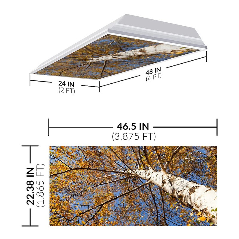 Fluorescent Light Cover for Classroom Ceiling Lights - Premium Backlit
