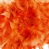 Eye-Catching and Modern Real Natural Vibrant Orange Feather Decorated Small