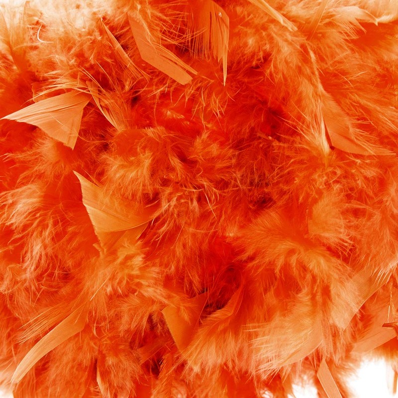 Eye-Catching and Modern Real Natural Vibrant Orange Feather Decorated Small