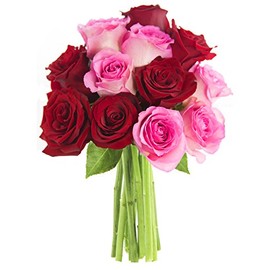 KaBloom PRIME NEXT DAY DELIVERY - Fall Collection - Red and Pink Roses without vase (Dozen) .Gift for Birthday, Sympathy, Anniversary, Get Well, Thank You, Valentine, Mother’s Day Fresh Flowers